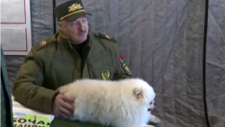 Главное: Лукашенко заявил об украинских военных у границы