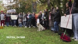 "Это было убийство!" В Латвии протесты после того, как охотник застрелил трех чужих собак