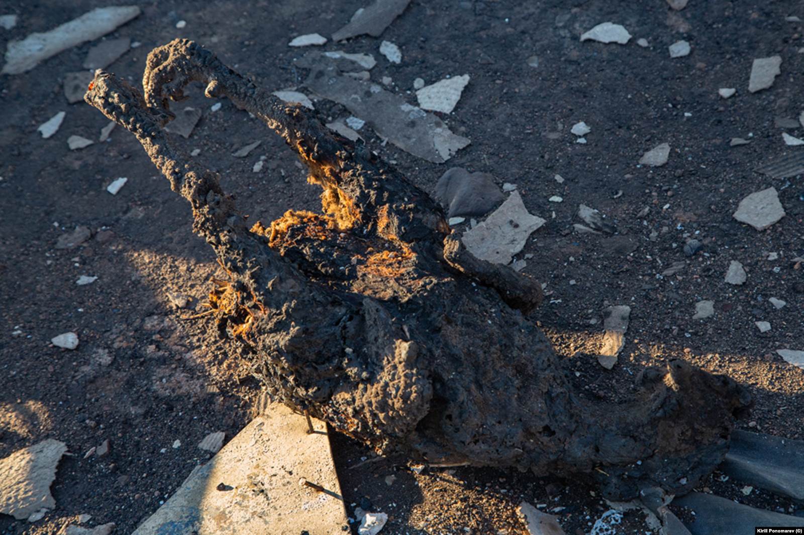 Жители Шары и других сел лишились не только домов, но и скота, птицы, хозяйственных построек. Фото: Кирилл Пономарев