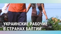 Балтия: здесь любят Украину, но не любят украинских рабочих