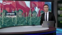 "Дикобраз на дороге диктатора". Польша готовится к возможному нападению России: численность армии планируют довести до 300 тысяч человек 