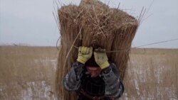 "Дельта": поэтическая картина о воде и людях, ее окружающих