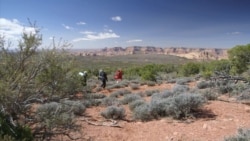 Роман со звездами: гении астрономии в незабываемом путешествии по Калифорнии