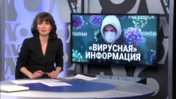 Итоги: вирусная информация