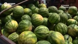 #ВУкраине: арбузное бедствие