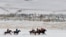 KYRGYZSTAN -- Mounted Kyrgyz riders play the traditional central Asian sport Kok-boru, know also as Buzkashi or Ulak Tartis ("goat grabbing"), near the village of Besh-Kungey, some 20km from Bishkek, February 4, 2018