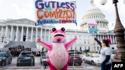 Пикетчики требует обнародовать досье Эпштейна. Вашингтон, 12 ноября, 2025 года. Фото AFP