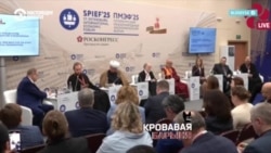 Как проходит Петербургский международный экономический форум