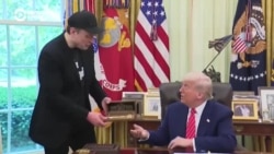 Почему случился "взрывной развод" Трампа и Маска