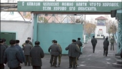 Колония в Новосадах