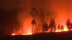 Пожары и наводнения: на Европу обрушились природные катаклизмы