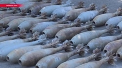 Украинские силовики показали доказательства подготовки нападения Савченко и Рубаном