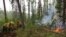 RUSSIA - Firefighters battle a forest fire, Yakutia, July 01, 2021