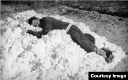 Колхозный работник отдыхает на груде хлопка. Фото Макса Пенсона