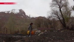 Без хлеба и образования. Треть таджикистанцев находятся за чертой бедности