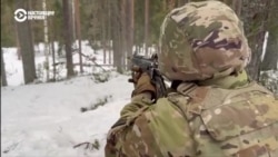 В Финляндии недалеко от границы с Россией проходят учения НАТО – военных тренируют в условиях экстремальных арктических морозов