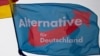 Федеральное ведомство по охране конституции ФРГ обязалось до решения суда не называть "Альтернативу для Германии" правоэкстремистской